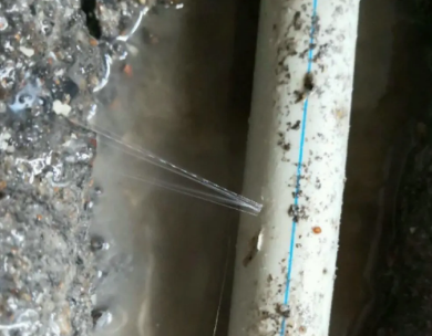 新邱测漏水哪家好