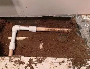 新邱测漏水哪家好